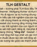 Trường phái GESTALT