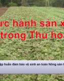 Bài giảng Thực hành sản xuất tốt trong thu hoạch