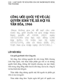 Hệ thống Luật quốc tế về quyền của các nhóm người dễ bị tổn thương: Phần 2