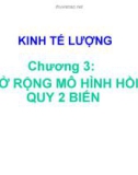 KINH TẾ LƯỢNG - Chương 3: MỞ RỘNG MÔ HÌNH HỒI QUY 2 BIẾN