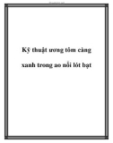 Kỹ thuật ương tôm càng xanh trong ao nổi lót bạt