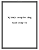 Kỹ thuật ương tôm càng xanh trong vèo