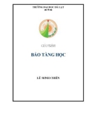 Giáo trình Bảo tàng học - Lê Minh Chiến