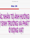 Bài giảng Sinh học 11 bài 38: Nhân tố ảnh hưởng đến sinh trưởng và phát triển ở động vật