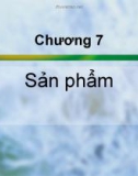 Chương 7: Sản phẩm