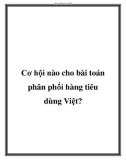 Cơ hội nào cho bài toán phân phối hàng tiêu dùng Việt?