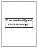 Vì sao doanh nghiệp nhà nước kém hiệu quả?