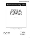 Writing an effective business - plan