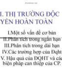 Bài giảng Kinh tế vi mô: Chương 6 - Thị trường độc quyền hoàn toàn (2)