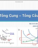 Bài giảng Tổng Cung – Tổng Cầu - Châu Văn Thành