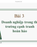 Bài giảng Doanh nghiệp trong thị trường cạnh tranh hoàn hảo