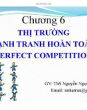 Bài giảng Kinh tế vi mô: Chương 6 - Ths. Nguyễn Ngọc Hà Trân