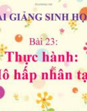 Bài giảng Sinh học 8 bài 23: Thực hành hô hấp nhân tạo