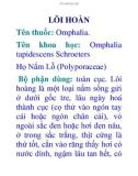 LÔI HOÀN