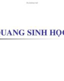 Quang sinh học