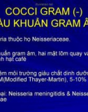 COCCI GRAM (-) CẦU KHUẨN GRAM ÂM