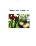 Giảm béo bằng các loại… quả