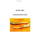 DƯỢC HỌC - LINH DƯƠNG GIÁC