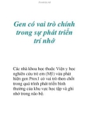 Gen có vai trò chính trong sự phát triển trí nhớ