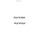 MẠCH HỌC - MẠCH ĐẠI