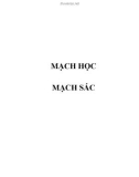 MẠCH HỌC - MẠCH SÁC