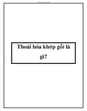 Thoái hóa khớp gối là gì?