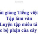 Bài giảng Tiếng việt 4 tuần 22 bài: Luyện tập miêu tả các bộ phận của cây cối