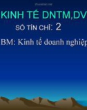 Bài giảng Kinh tế doanh nghiệp thương mại dịch vụ: Chương 1