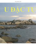 Bài giảng: U đặc tụy