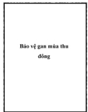 Bảo vệ gan vào mùa thu đông