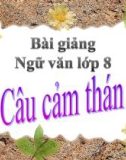 Bài giảng Ngữ văn 8 bài 21: Câu cảm thán