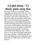 Lá phù dung - Vị thuốc giảm sưng đau