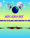 Bài giảng Khoa học 4 bài 6: Vai trò của vitamin - chất khoáng và chất xơ