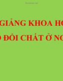 Bài giảng Khoa học 4 bài 2: Trao đổi chất ở người