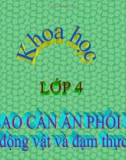 Bài giảng Khoa học 4 bài 8: Tại sao cần ăn phối hợp đạm thực vật và đạm động vật