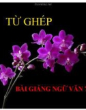 Bài giảng Ngữ văn 7 bài 1: Từ ghép