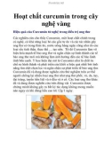 Hoạt chất curcumin trong cây nghệ vàng