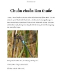 Chuồn chuồn làm thuốc