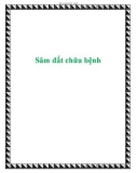 Sâm đất chữa bệnh