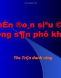 Chuẩn đoán siêu âm trong sản phụ khoa