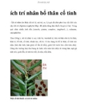 ích trí nhân bổ thân cố tinh