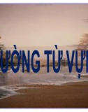 Bài giảng môn Ngữ văn lớp 8 - Bài 2: Trường từ vựng