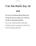 Các bài thuốc hay từ sen