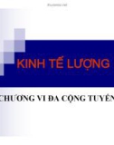 Bài giảng Kinh tế lượng - Chương 6: Đa cộng tuyến (2015)