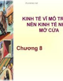 Bài giảng Chương 8: Kinh tế vĩ mô trong nền kinh tế nhỏ, mở cửa