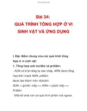 Bài 34: QUÁ TRÌNH TỔNG HỢP Ở VI SINH VẬT VÀ ỨNG DỤNG