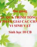 Bài giảng Sinh học 10 bài 23: Quá trình tổng hợp và phân giải các chất ở vi sinh vật