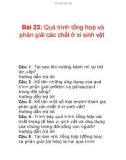 Bài 23: Quá trình tổng hợp và phân giải các chất ở vi sinh vật