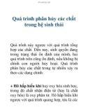 Quá trình phân hủy các chất trong hệ sinh thái