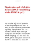 Nguồn gốc, quá trình tiến hóa của DNA và hệ thống nhân đôi DNA (p-1)